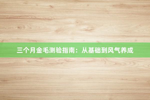 三个月金毛测验指南：从基础到风气养成